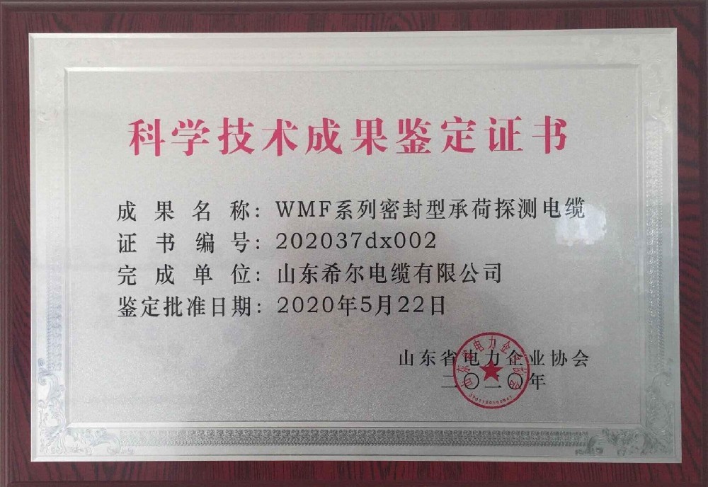 科技成果鉴定-WFM系列密封型承荷探测电缆