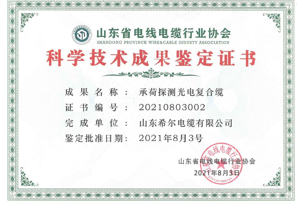科技成果鉴定-承荷探测光电复合缆证书
